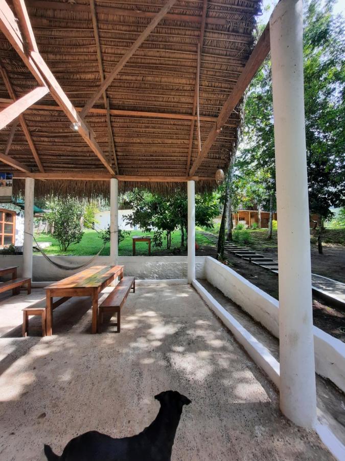 Pachamaya River Hostel Lanquín Eksteriør bilde